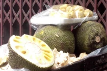 Mít xanh non bị tiêm hóa chất Trung Quốc để thúc chín