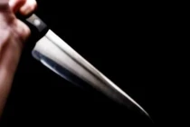 Bắt khẩn cấp cháu giết cô bằng 23 nhát dao