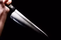 Bắt khẩn cấp cháu giết cô bằng 23 nhát dao