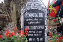 Một tai hoạ dịch thuật trên văn bia cây di sản