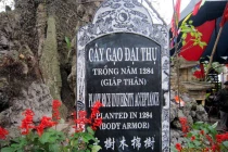 Một tai hoạ dịch thuật trên văn bia cây di sản