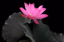 Con đường dẫn đến khổ đau và hạnh phúc