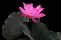 Con đường dẫn đến khổ đau và hạnh phúc