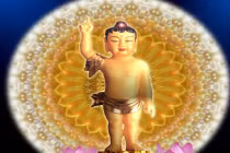 Ý nghĩa “Duy ngã độc tôn”