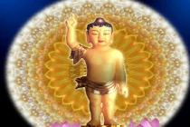 Ý nghĩa “Duy ngã độc tôn”