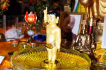 Phật Đản sinh và tính giải thoát trong đạo Phật