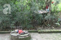 Kỳ lạ giếng “cho sữa bú” giữa thủ đô