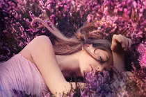 Mật mã tình yêu từ các loài hoa cho ngày 20/10