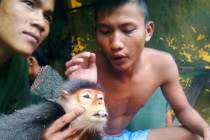 Khơi gợi lòng từ bi từ những ảnh giết thú dã man