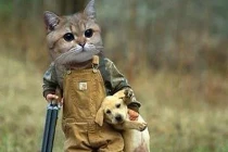 Phút hài hước của chó và mèo