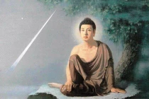 Nhìn lại thói quen chống cự