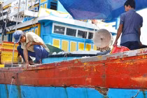 Tàu cá Việt từ Hoàng Sa về bị đâm tơi tả