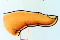 Đoán tài năng qua ngón tay cái 