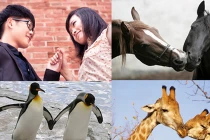 Xôn xao bộ ảnh “Đồng tính - 10 điều muốn nói“