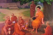 Đức Phật dạy về nhân quả