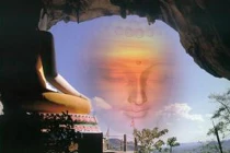 Vô tình làm chết những con vật nhỏ có tội không?