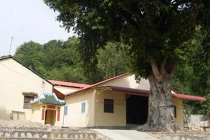 Năm Căn cổ tự và truyền thuyết Phật sống Cử Đa