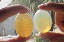 Sự thật về giếng Thánh và những viên ngọc Phật Trùm