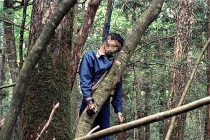 Dựng tóc gáy lạc vào rừng ngàn người tự sát