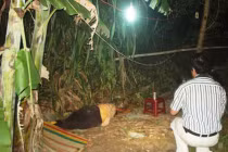 Đau lòng con trai đánh chết mẹ ruột