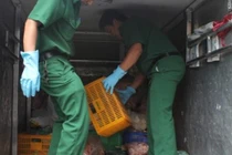 Nhà phân phối trữ 2 tấn gà thối... phục vụ Tết