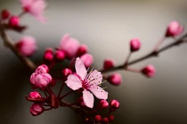 Bước ngoặt lịch sử trong quan hệ Nga-Nhật