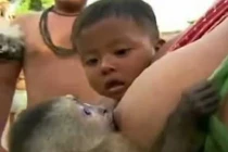 Những kiểu bú sữa lạ lùng nhất quả đất