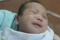 Xót xa xác trẻ sơ sinh ở khu rác BV Phụ sản HN