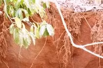 Sau tiếng động lớn, xuất hiện “hố tử thần” khổng lồ