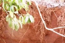 Sau tiếng động lớn, xuất hiện “hố tử thần” khổng lồ