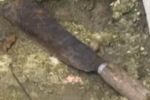 Bàng hoàng bé gái 12 tuổi giết em họ 2 tuổi