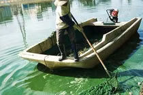 Tiếng thở dài cho thắng cảnh Đà Lạt