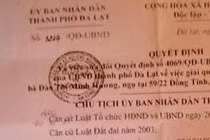 Vi phạm luật, UBND TP Đà Lạt thua kiện