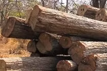 Tổng Cục an ninh xử lý sai phạm ở VQG Yok Đôn