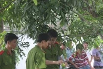 Phát hiện nam giới chết trong tư thế treo cổ