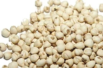 Dược thảo 'đánh bay' cơn ho trong mùa đông