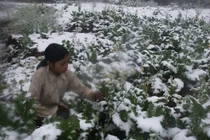 Sa Pa, Mẫu Sơn có thể tuyết rơi dịp Tết dương