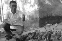 Ngả mũ trước đại gia Việt mê... lợn