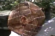 Đội mũ bảo hiểm kín mít cai thuốc lá