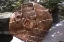 Đội mũ bảo hiểm kín mít cai thuốc lá