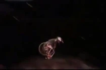 Clip: Rất nhiều người thích chơi sốc