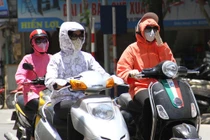 Phát điên vì... nắng nóng