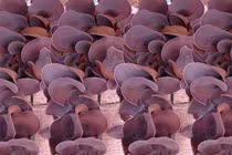 Những món ẩm thực hóa giải nhiễm độc chì