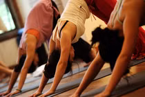 Khám phá thế giới Yoga “cổ cồn trắng“