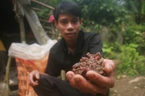 Muốn kiếm được đá đỏ phải “số đỏ“