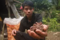 Muốn kiếm được đá đỏ phải “số đỏ“