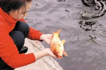 Vì sao ngày cúng ông Công ông Táo là ngày “mở cổng trời“? 