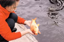 Vì sao ngày cúng ông Công ông Táo là ngày “mở cổng trời“? 