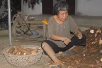 Những mảnh đời bị... rụng