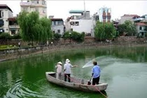 Mùa tảo độc “nở hoa“